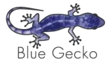 Blue Gecko Marketing GmbH – Agentur in Marburg