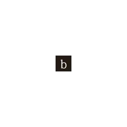 Brandundneu Medienservice – Agentur in Bremen