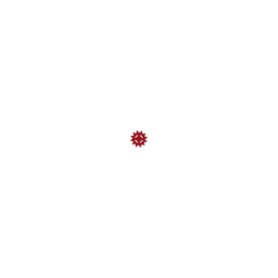 Browserwerk GmbH – Agentur in Wiesbaden