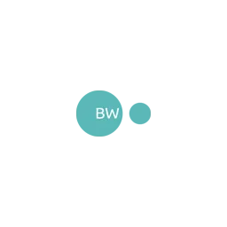 BW Webdesign Hannover Logo