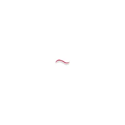 Chemnitzer Webdesign Logo