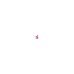 Christian Häcker PIXARIO Logo