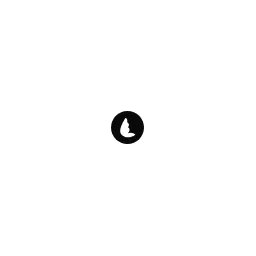 code pixies GmbH Logo