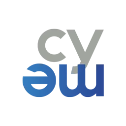 CYNAPSIS interactive GmbH – Agentur in Münster