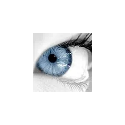 DieSignAgentur® Graphicdesign & Office Management by Monika Schäfer – Agentur in Offenburg