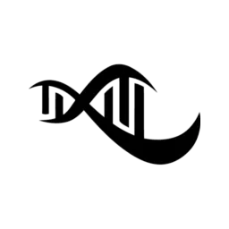 digitalis360 Online-Marketing – Agentur in Pforzheim