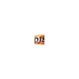 DJS Marketing Dirk Schmitz Logo