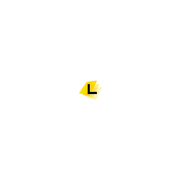 Druck und Verlagshaus Lorch Logo
