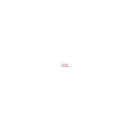 Icarus Websites Logo