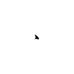IronShark GmbH – Agentur in Jena