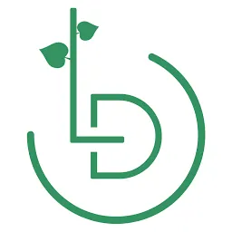 Lindenfeld Digital – Agentur in Leipzig