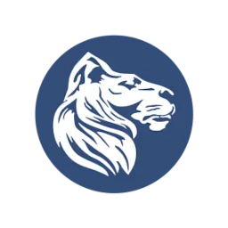 Löwenstark Online-Marketing GmbH – Agentur in Braunschweig