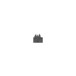 Monsterpixel GbR – Agentur in Erfurt