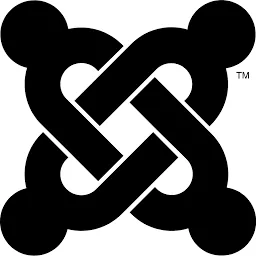 Network People AG Logo