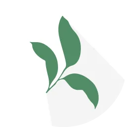 Netzpflanze – Agentur in Finnentrop