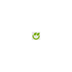 Papoo Software & Media GmbH Logo