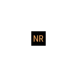Rixner Norbert Logo