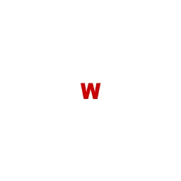 Waltermann WebDesign Logo