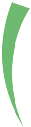 Webdesign & E-Commerce I true leap Logo