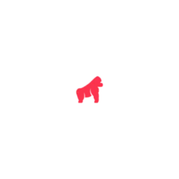 Webgorilla GmbH – Agentur in Bamberg