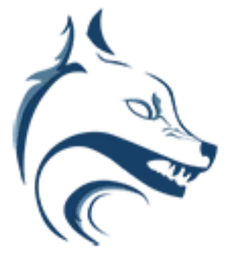 WOLF OF SEO | Niels Stuck – Agentur in Treuenbrietzen