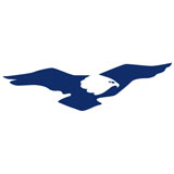Eagle Online Marketing GmbH & Co. KG – Agentur in Berlin