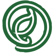 Eco Webservice – Agentur in Berlin