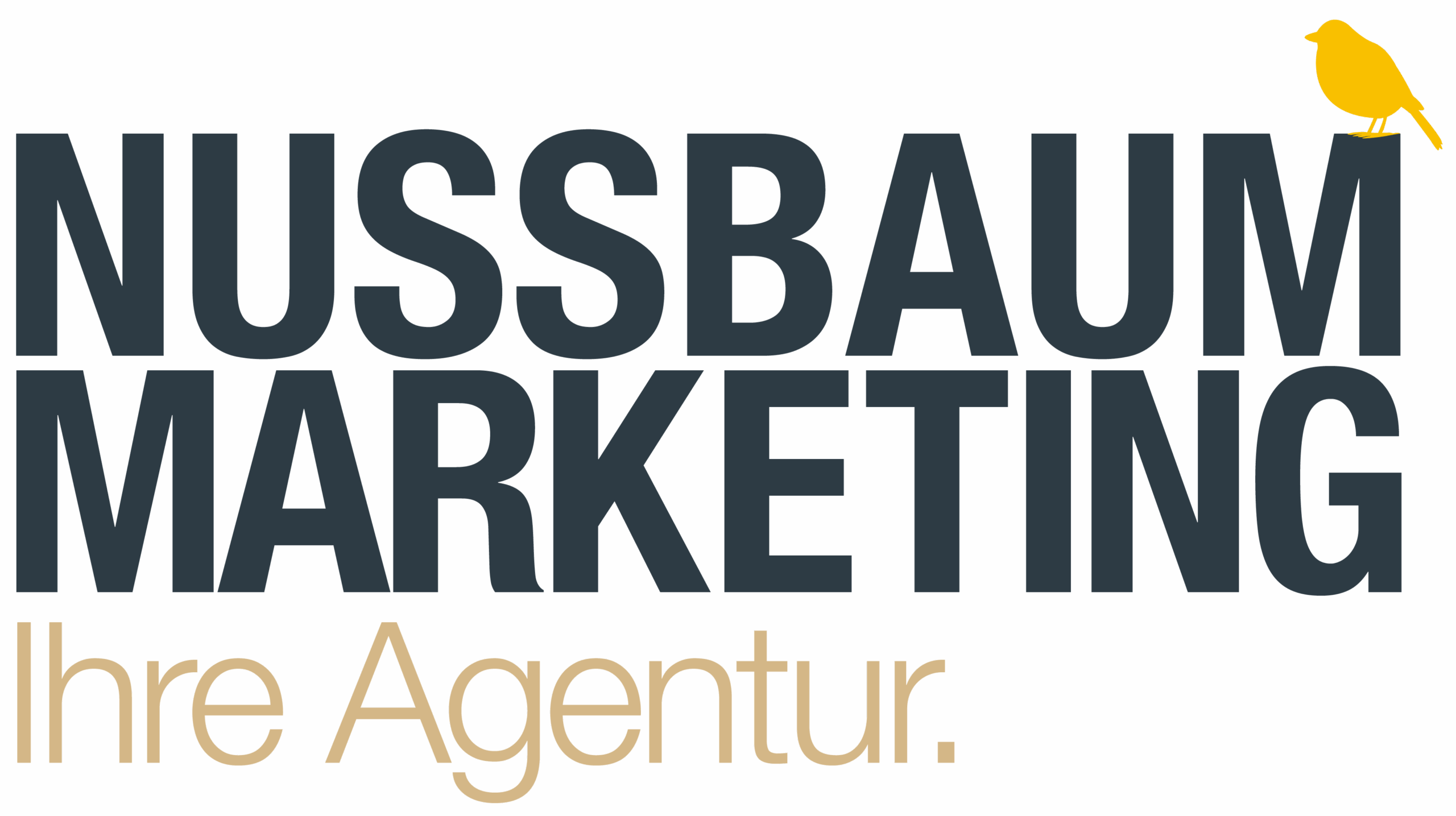 NUSSBAUM Marketing – Agentur in Berlin